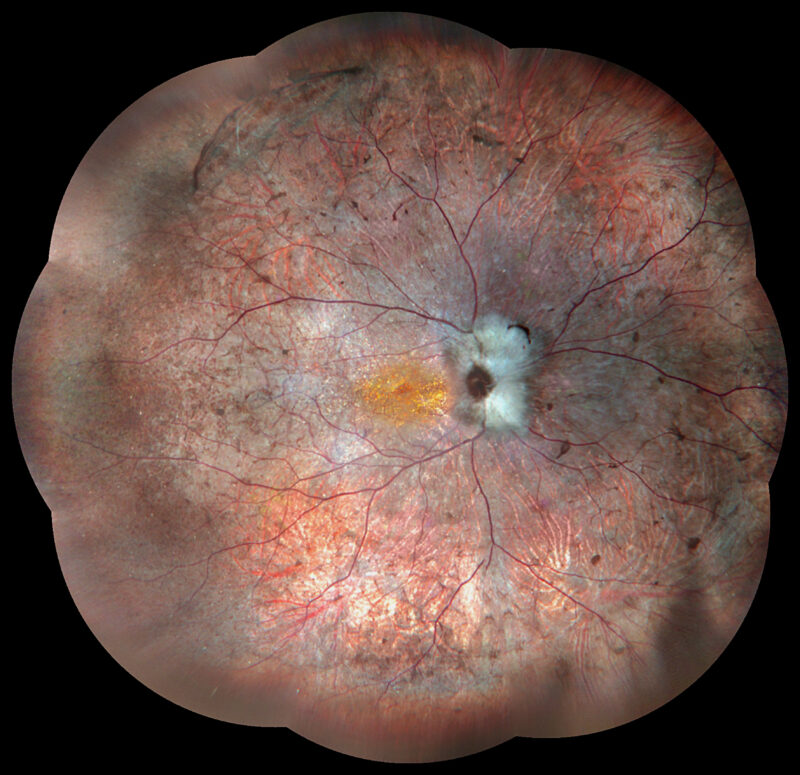 283_V3.21-carroussel 20